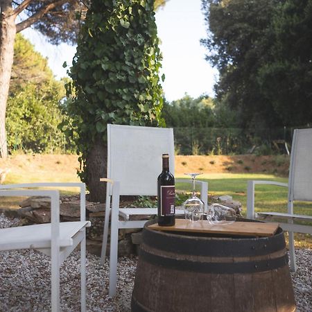 Podere San Filippo B&B-Apartment-Pet Friendly-Rent Bike And Bike Friendly Bibbona Extérieur photo