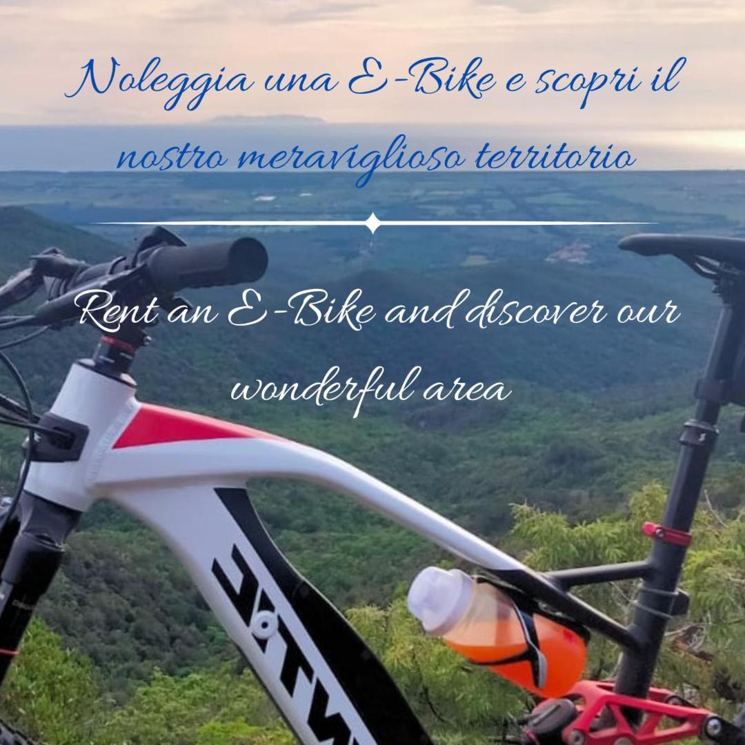 Podere San Filippo B&B-Apartment-Pet Friendly-Rent Bike And Bike Friendly Bibbona Extérieur photo