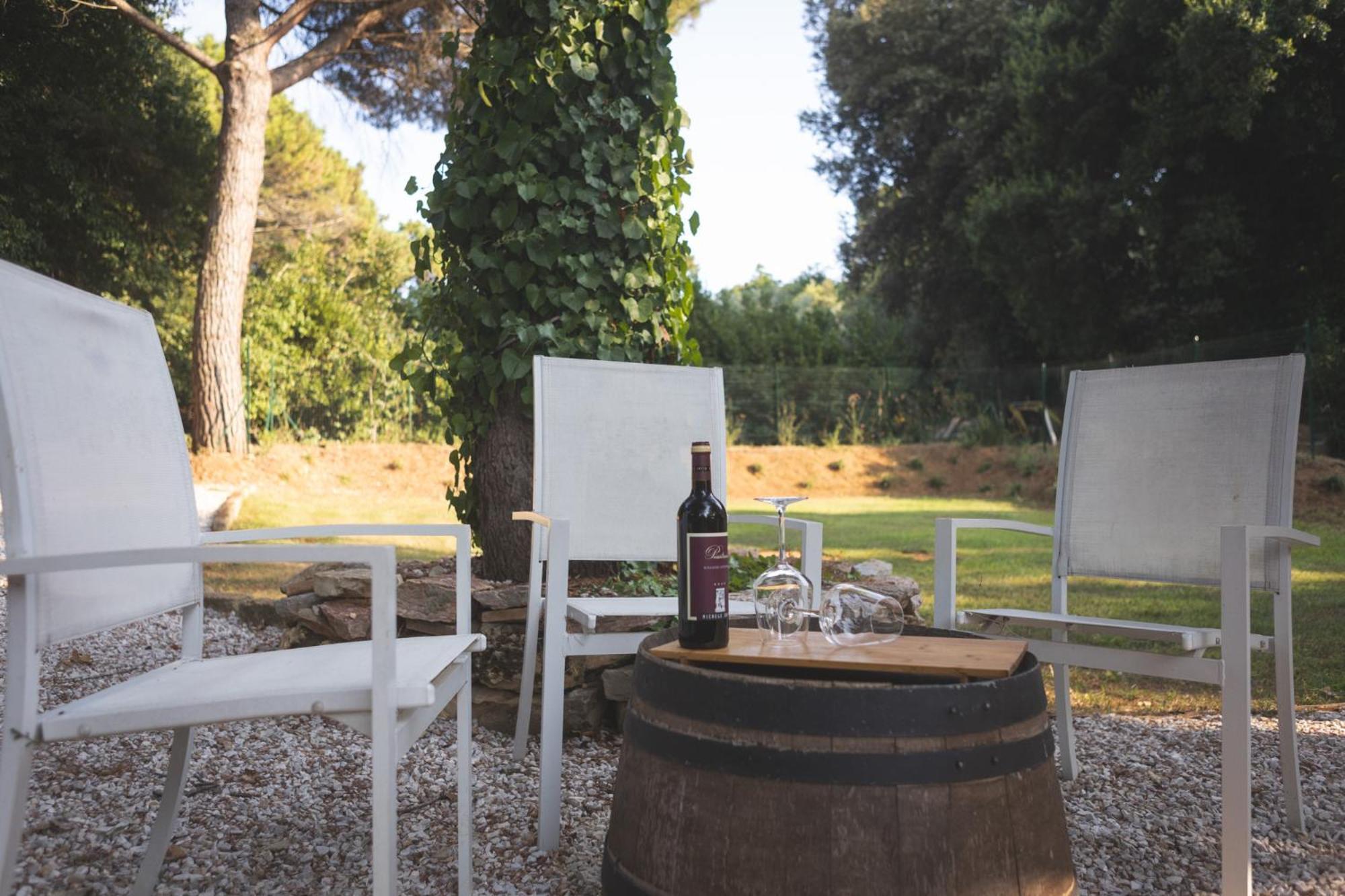 Podere San Filippo B&B-Apartment-Pet Friendly-Rent Bike And Bike Friendly Bibbona Extérieur photo